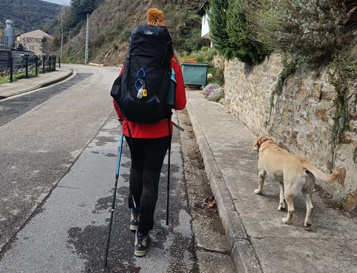 Dag 38: Dieren van de camino