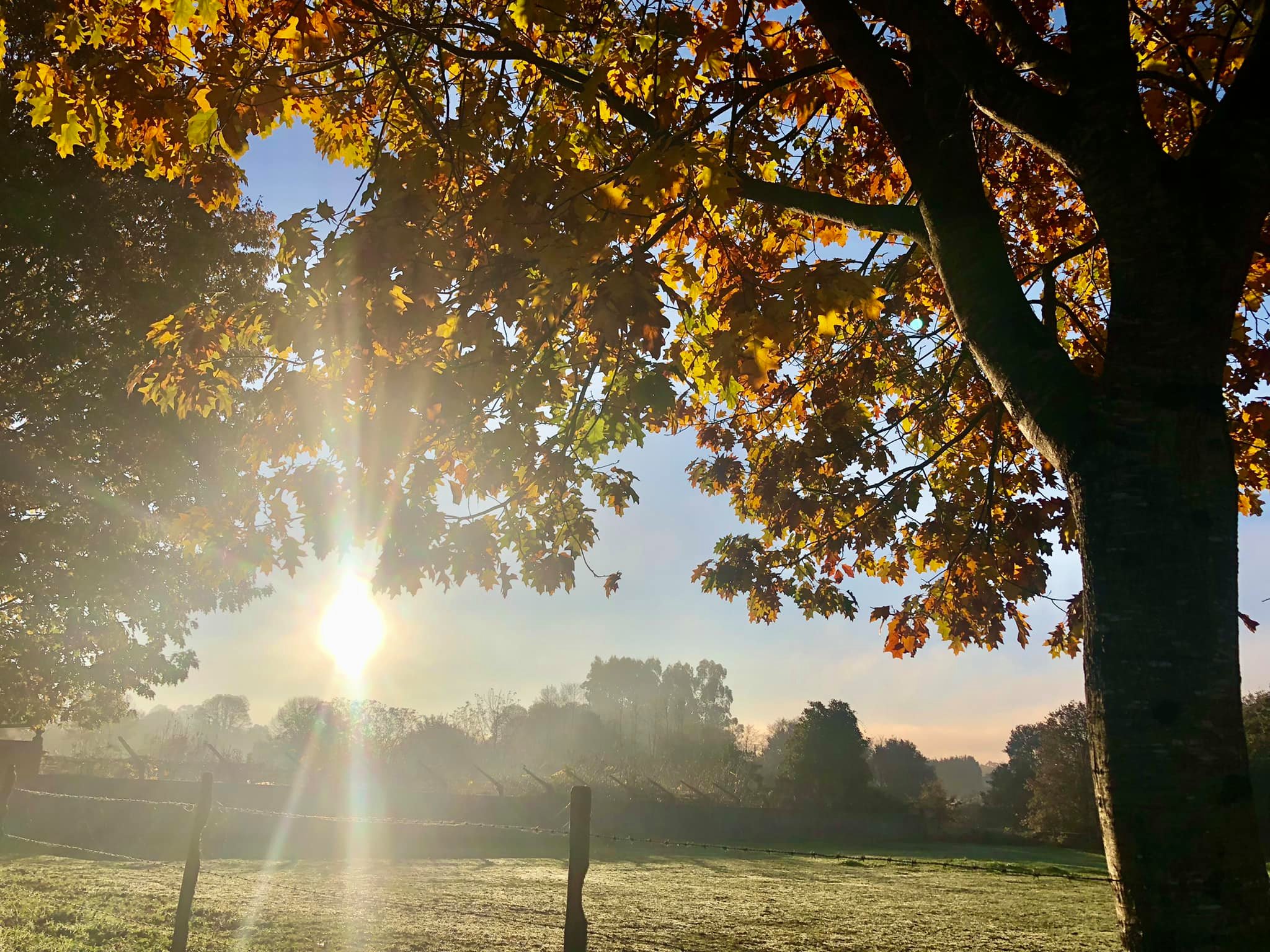 Dag 45: Een mooie dag