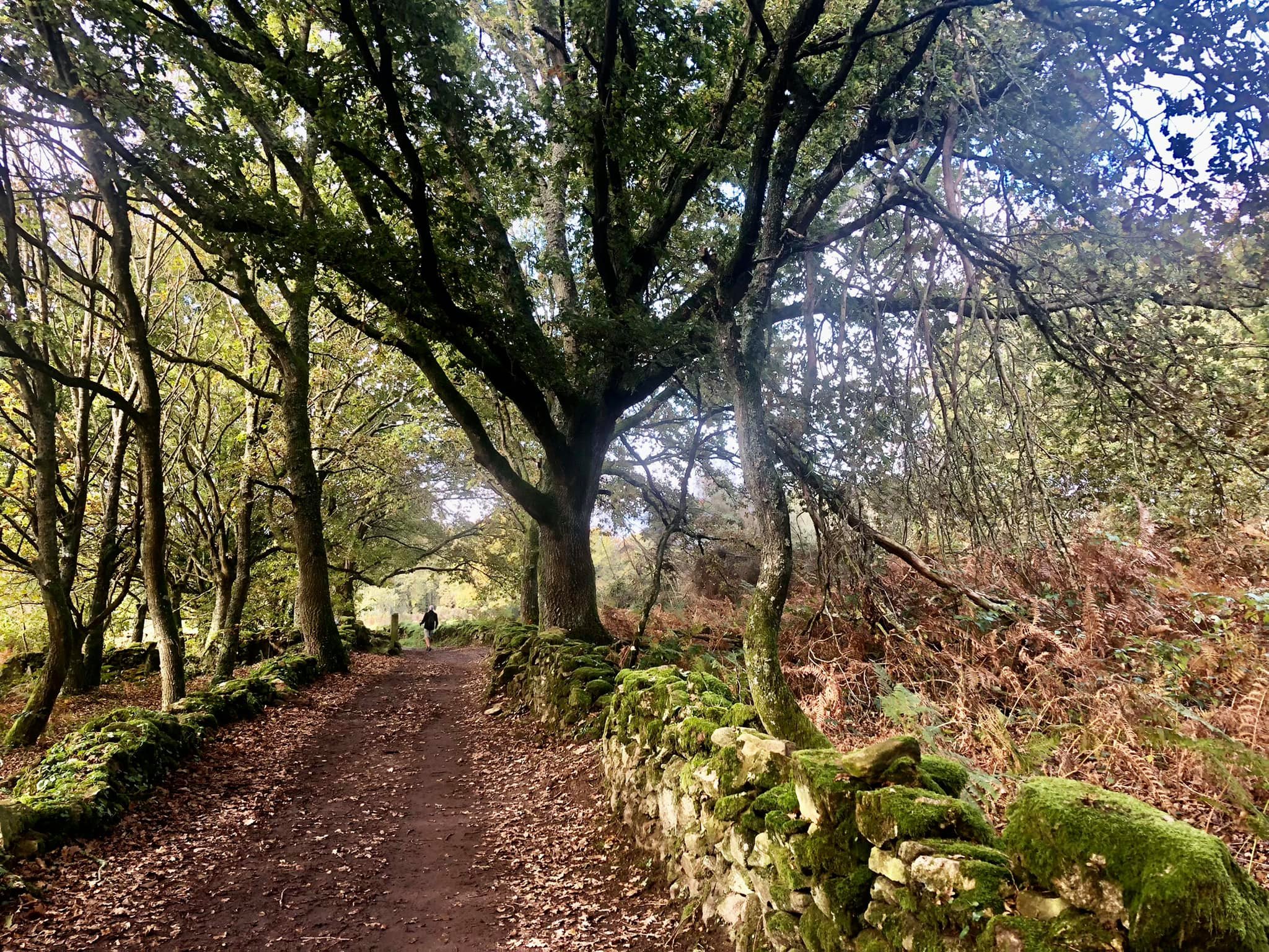 Dag 42: Wennen