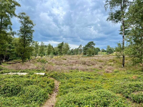Pieterpad etappe 11: Hellendoorn – Holten